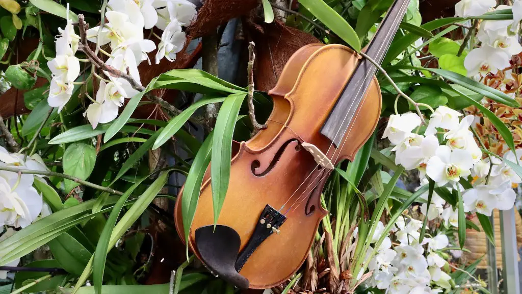 What is difference between a fiddle and a violin?
