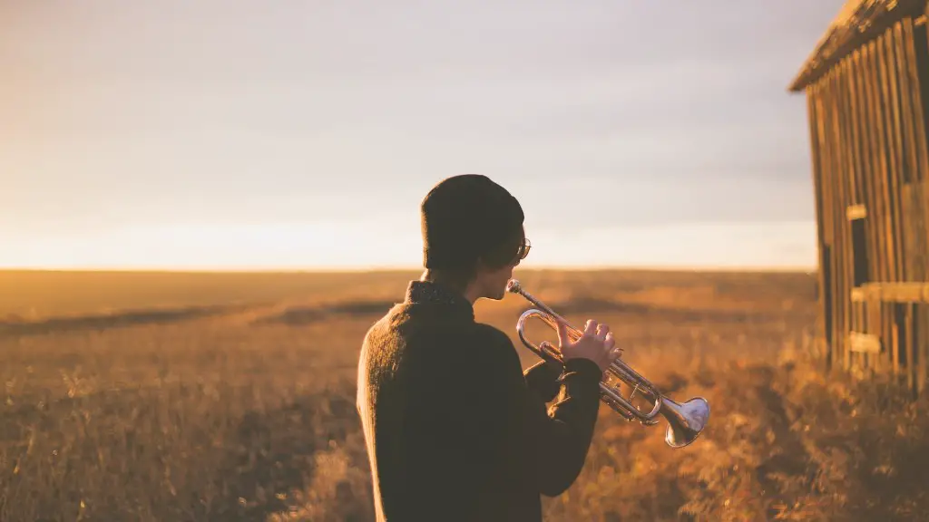 What is the first trumpet?