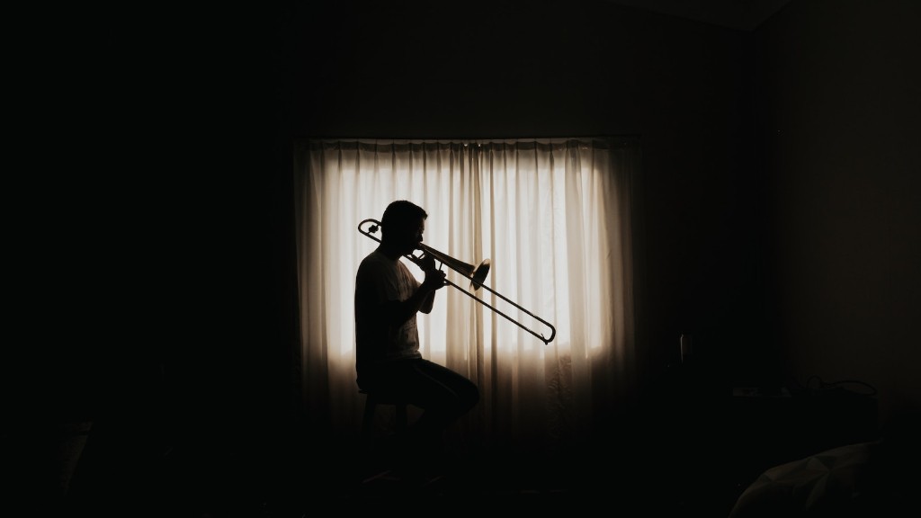 What instrument family is the trumpet in?